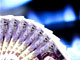 is your household in fuel poverty?